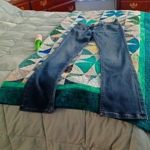 Ann taylor Loft jeans